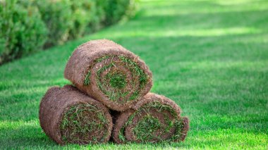 Çimlerin üzerinde üç rulo çimen. Peyzaj için kullanıma hazır çimenler.