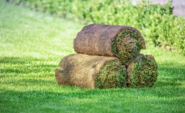 Çimlerin üzerinde üç rulo çimen. Peyzaj için kullanıma hazır çimenler.