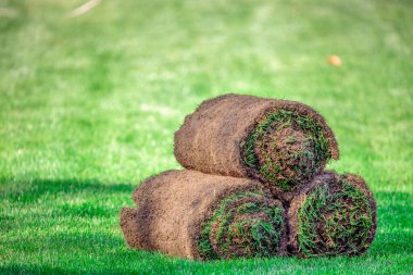 Çimlerin üzerinde üç rulo çimen. Peyzaj için kullanıma hazır çimenler.