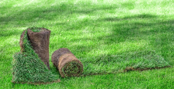 Two Rolls Lawn Grass Lie Lawn Sunny Day Creating Landscape — Stock Photo, Image