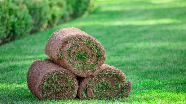 Çimlerin üzerinde üç rulo çimen. Peyzaj için kullanıma hazır çimenler.
