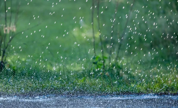 Caen Gotas Lluvia Sobre Asfalto Parque Canción Asfalto Húmedo — Foto de Stock