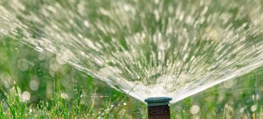 Otomatik sulama sisteminin döner başlığı sulu yeşil çimenleri suluyor..
