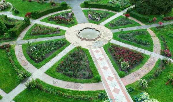 Jardim Rosas Com Caminhos Pavimentados Jardim Botânico Nomeado Após Grishko — Fotografia de Stock