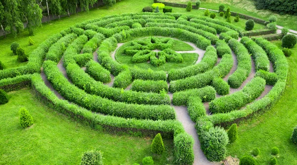 基辅格里什卡植物园中的顶层花园 呈迷宫状 — 图库照片