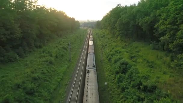 Pociąg towarowy jedzie z dużą prędkością przez las. Widok z lotu ptaka. — Wideo stockowe