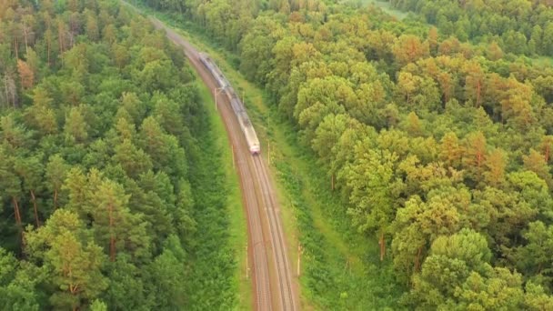 Ett godståg rör sig i hög hastighet genom skogen. Flygbild. — Stockvideo