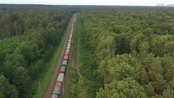 Um trem de carga está se movendo em alta velocidade através da floresta. Vista aérea. — Vídeo de Stock