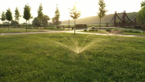 Nozzle untuk penyiraman otomatis rumput halaman — Stok Video