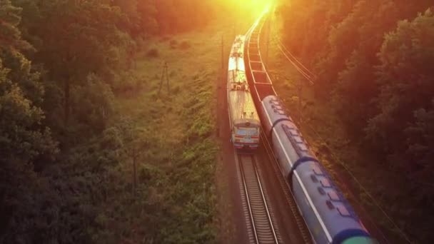 Pociąg towarowy jedzie z dużą prędkością przez las. Widok z lotu ptaka. — Wideo stockowe