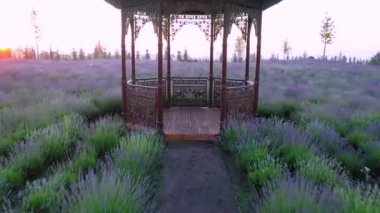 Tren demiryolu köprüsü ile seyahat eder. Hava görünümü.