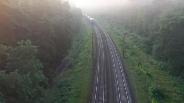 Tren yüksek hızda sabah sisinde ormanda hareket eder..