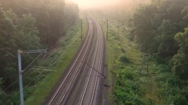 Потяг рухається через ліс в ранковому тумані на високих швидкостях . — стокове відео