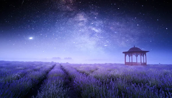 Bright Blooming Lavender Field Wonderful Summer Night Landscape Blooming Field — Foto de Stock