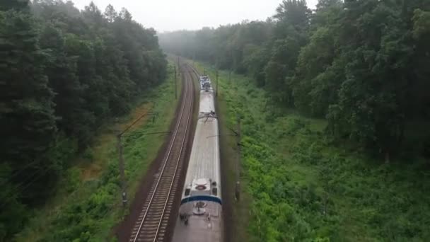 Een goederentrein rijdt met hoge snelheid door het bos. Luchtzicht. — Stockvideo