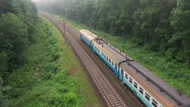 Вантажний поїзд рухається на великій швидкості через ліс. Вид з повітря . — стокове відео
