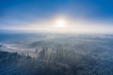 Sis yeşili çam ormanları, çam ağaçlarından gölgeler ve sonbahar dağlarında parlayan gündoğumu ışınları..