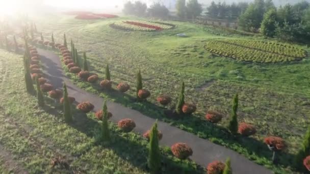 Alba in un parco fiorito, vista drone — Video Stock