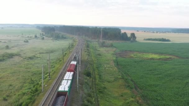 Bir yük treni ormanda yüksek hızda hareket ediyor. Hava görünümü. — Stok video