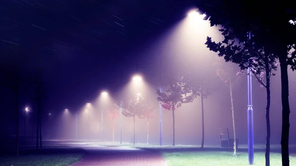 Νύχτα Δρόμο Της Πόλης Φανάρια Φωτίζουν Δρόμο Νύχτα Στην Ομίχλη — Φωτογραφία Αρχείου