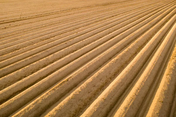 Aerial View High Quality Soil Field Ready Grow Crops Field — Stock Photo, Image