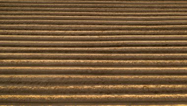 Alandaki yüksek kaliteli toprak manzarası. Ekin yetiştirmeye hazır. Patatesli tarla, kök.