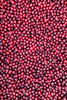 Böğürtlen dokusu, kiraz arkaplan, taze sulu sebzeler üst görünüm, vejetaryen yiyecekler, lif vitaminleri ve früktoz kaynağı.