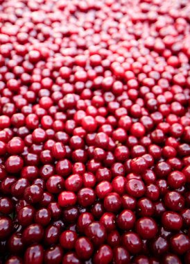 Böğürtlen dokusu, kiraz arkaplan, taze sulu sebzeler üst görünüm, vejetaryen yiyecekler, lif vitaminleri ve früktoz kaynağı.