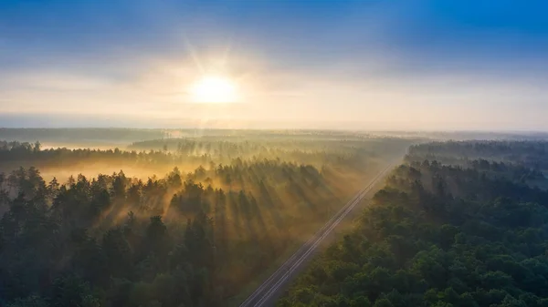 Järnväg Sommarens Morgonskog Gryningen Underbar Sommar Landskap Skott Från Drönare — Stockfoto