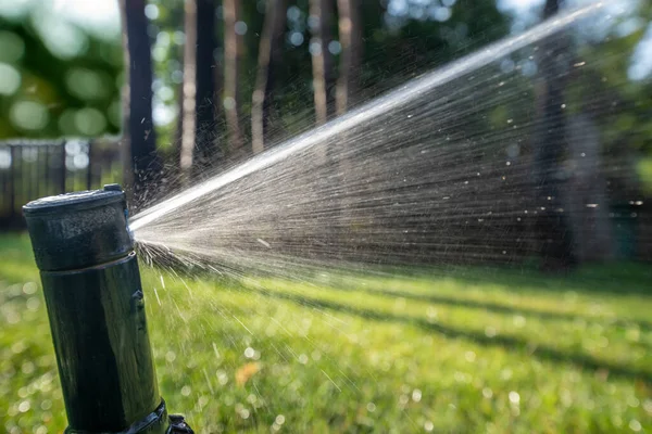 自動芝生の散水は芝生に水をやります 自動散水システムの回転ノズルは 草や植物に水を噴霧します 庭の湿度を維持する — ストック写真