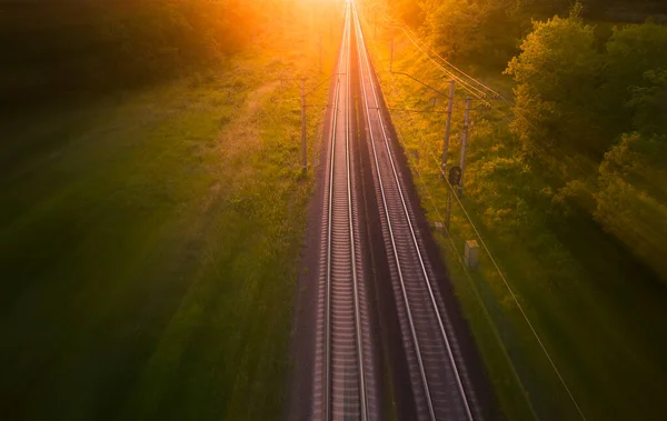 Ferrovia Attraversa Foresta Tracce Vuote Tramonto All Alba — Foto Stock