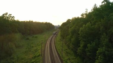 Bir yük treni ormanda yüksek hızda hareket ediyor. Hava görünümü.