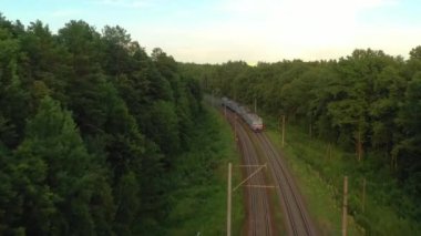 Bir yük treni ormanda yüksek hızda hareket ediyor. Hava görünümü.