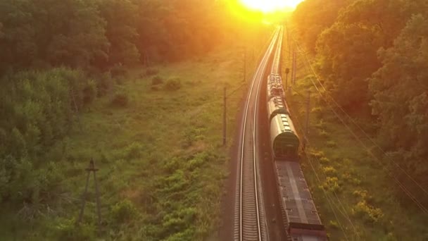 Ein Güterzug fährt mit hoher Geschwindigkeit durch den Wald. Luftaufnahme. — Stockvideo