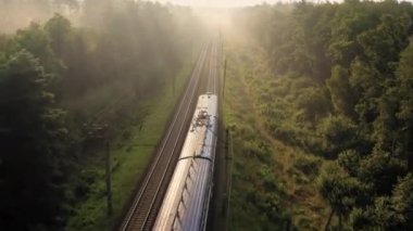Bir yük treni ormanda yüksek hızda hareket ediyor. Hava görünümü.