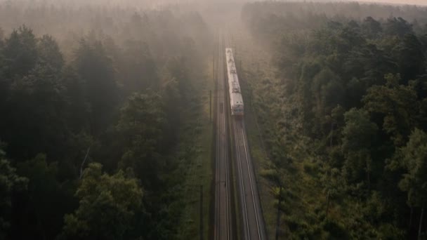 Un tren de carga se mueve a alta velocidad a través del bosque. Vista aérea. — Vídeos de Stock