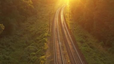 Şafak vakti kozalaklı bir ormanda tren yolu. İnsansız hava aracından görüntüle.