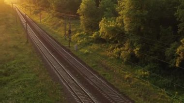 Şafak vakti kozalaklı bir ormanda tren yolu. İnsansız hava aracından görüntüle.