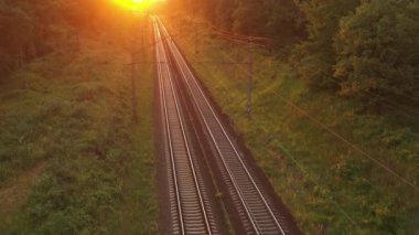 Şafak vakti kozalaklı bir ormanda tren yolu. İnsansız hava aracından görüntüle.