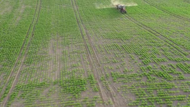 Användning av vattenlösliga gödselmedel, bekämpningsmedel eller herbicider på fältet. Utsikt från drönaren. — Stockvideo