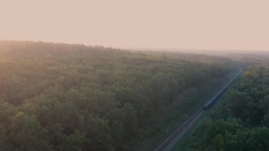Bir yük treni ormanda yüksek hızda hareket ediyor. Hava görünümü.
