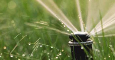 Hortum otomatik çim sulama makrosu kapat