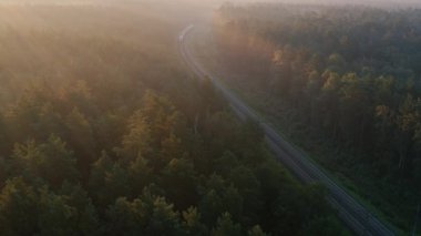 Bir yük treni ormanda yüksek hızda hareket ediyor. Hava görünümü.