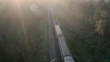 Bir yük treni ormanda yüksek hızda hareket ediyor. Hava görünümü.