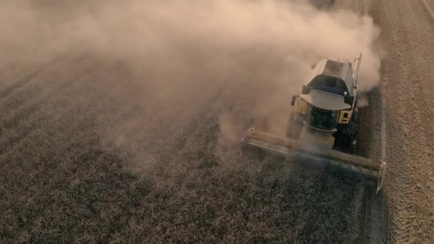 Bir hasat makinası tarlada tarım mahsulleri topluyor.. — Stok video