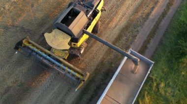 Buğday dolu bir karışım bir karavana tahıl atar..