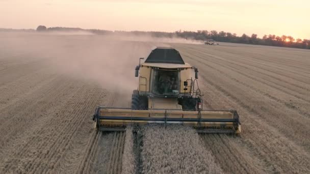 Bir hasat makinası tarlada tarım mahsulleri topluyor.. — Stok video