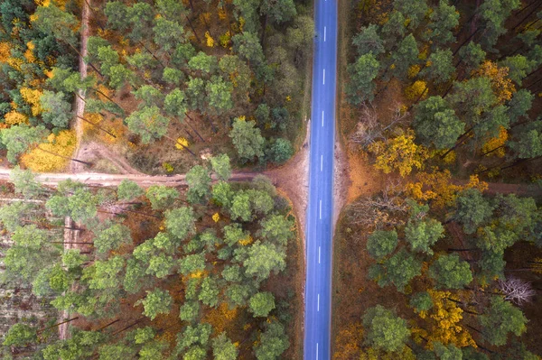 美しい秋の森と日没のアスファルトの道路の空中ビュー 木々や空の道路の黄色の緑と赤の葉と素晴らしい秋の風景 保護区への道 — ストック写真