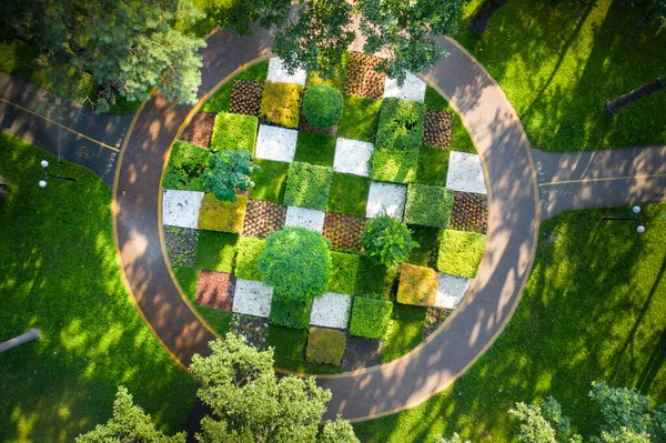 Aiuola Topiary Con Alberi Arbusti Tagliati Forme Geometriche Accuratamente Curato — Foto Stock