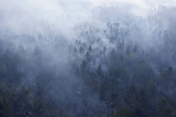 지역에 산불이 불길에 휩싸인 삼림의 지역에서 드론에서 바라본 — 스톡 사진